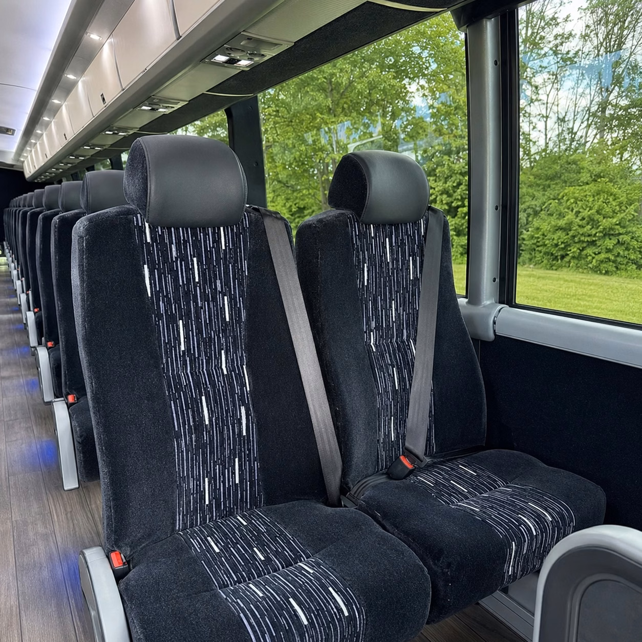 whatever your parma wedding looks like there is a bus in the network ready for it